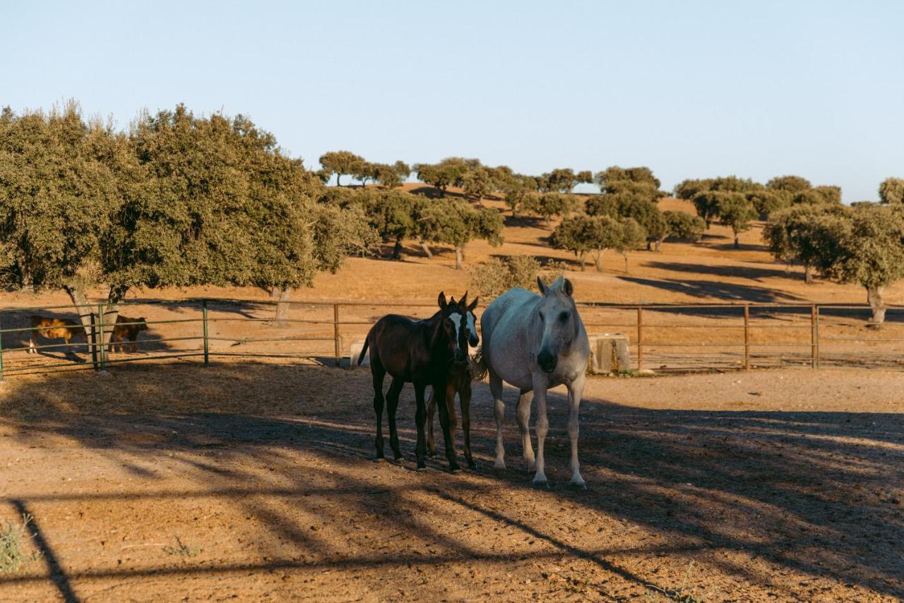 Herdade Da Caniceira Ervedal Exteriör bild